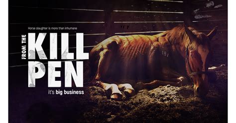Our VISION is to heal the heart of humanity through authentic partnership between horses and humans. . Texas kill pen